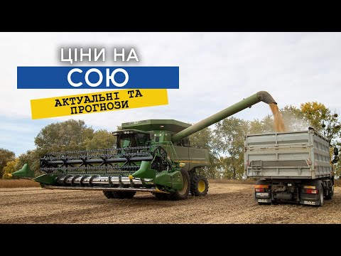 Soy: як знайти найвигідніші пропозиції на новому ринку 8 Soy: як знайти найвигідніші пропозиції на новому ринку 8