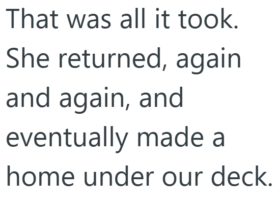 Безпритульне кошеня розтопило серця родини на зупинці, надихнувши дівчинку на мрію стати ветеринаром 38