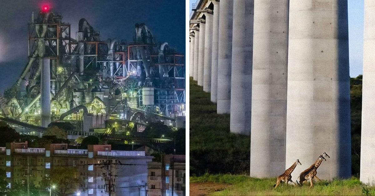 75 фото, які змусять вас боятися величезних речей 3 75 фото, які змусять вас боятися величезних речей 3