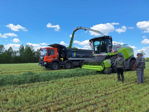 На Львівщині показали, як майстерно заготовляти корм 9 На Львівщині показали, як майстерно заготовляти корм 9