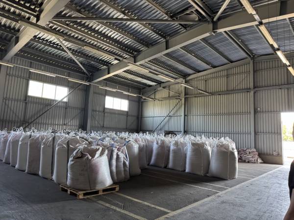 TAS Agro: Північний кластер впевнено тримає сезон завдяки потужній інфраструктурі 19