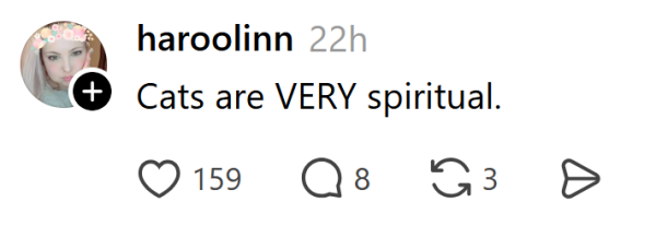 Наймиліші та найсмішніші котики тижня в Threads 46 Наймиліші та найсмішніші котики тижня в Threads 46