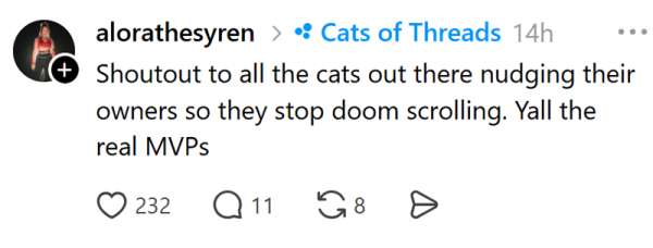 Наймиліші та найсмішніші котики тижня в Threads 40 Наймиліші та найсмішніші котики тижня в Threads 40