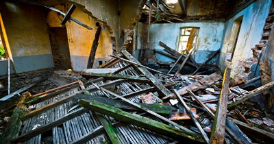 Українець перетворив балкон на город і заробляє $300 на місяць 44
