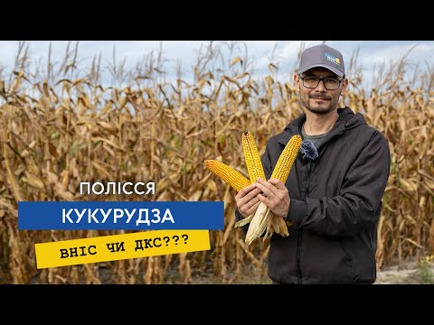 Молочна галузь: з кризи до прибутковості 6