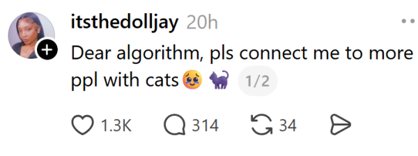 Наймиліші та найсмішніші котики тижня в Threads 47 Наймиліші та найсмішніші котики тижня в Threads 47