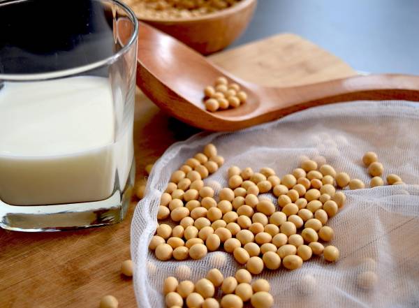 Soy: як знайти найвигідніші пропозиції на новому ринку