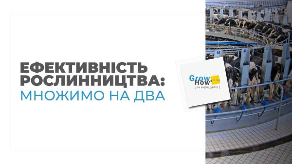 Корова-рекордсменка: секрет стабільно високого надою