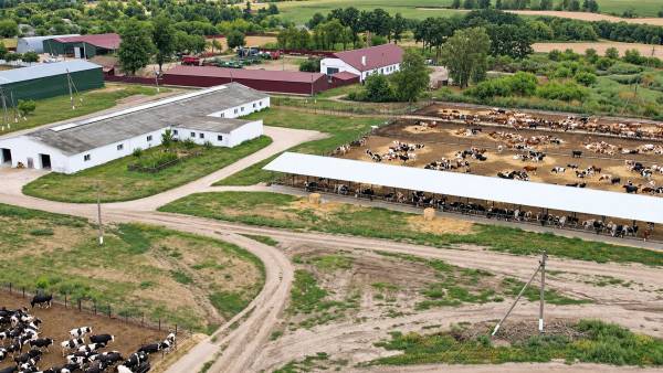 Strautmann Verti-Mix 1251: молочний успіх двох господарств починається з корму 37 Strautmann Verti-Mix 1251: молочний успіх двох господарств починається з корму 37